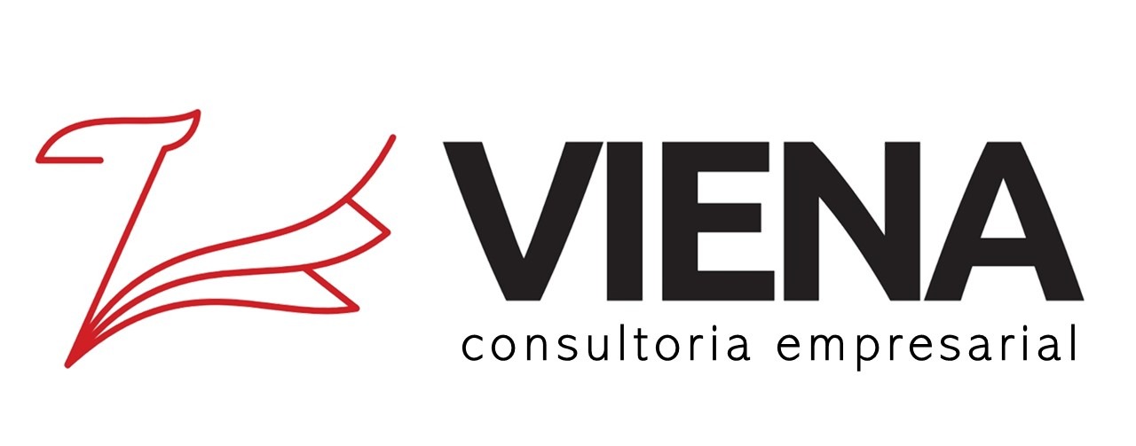 Viena Consultoria